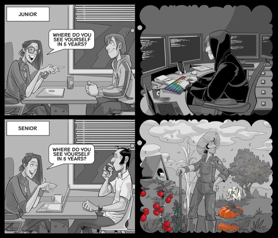 Comic: 'Where do you see yourself in 5 years?' A junior developer imagines a maximal hacker battlestation; a senior developer imagines a quiet farm.