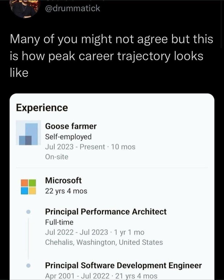 Screenshot of a LinkedIn profile whose job title reads 'Goose farmer' following 22 years at Microsoft.